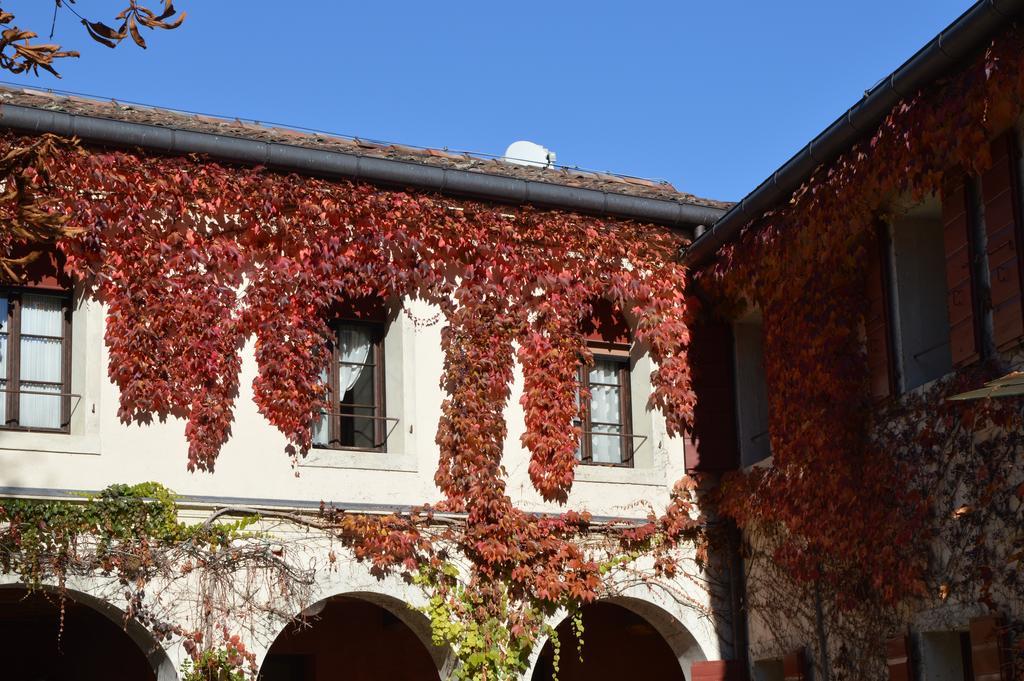 I Giardini Segreti Di Villa Marcello Marinelli Чизон ди Валмарино Екстериор снимка